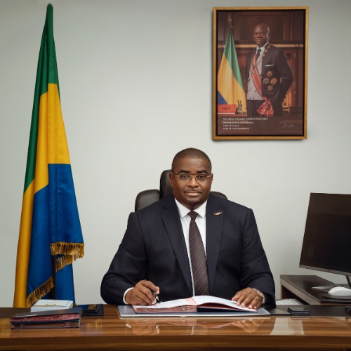 Directeur général des Impôts