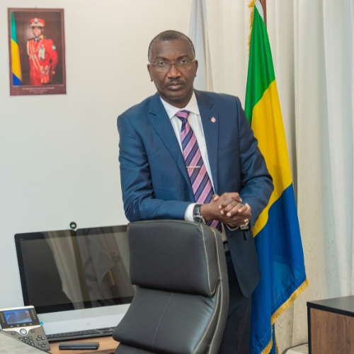 Société nationale des hydrocarbures du Gabon